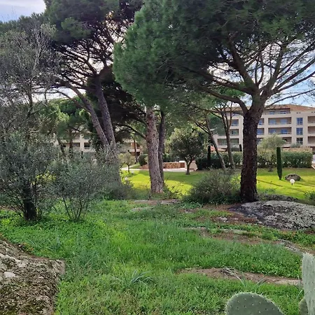 Centre Porto-vecchio Avec Piscine Apartment *